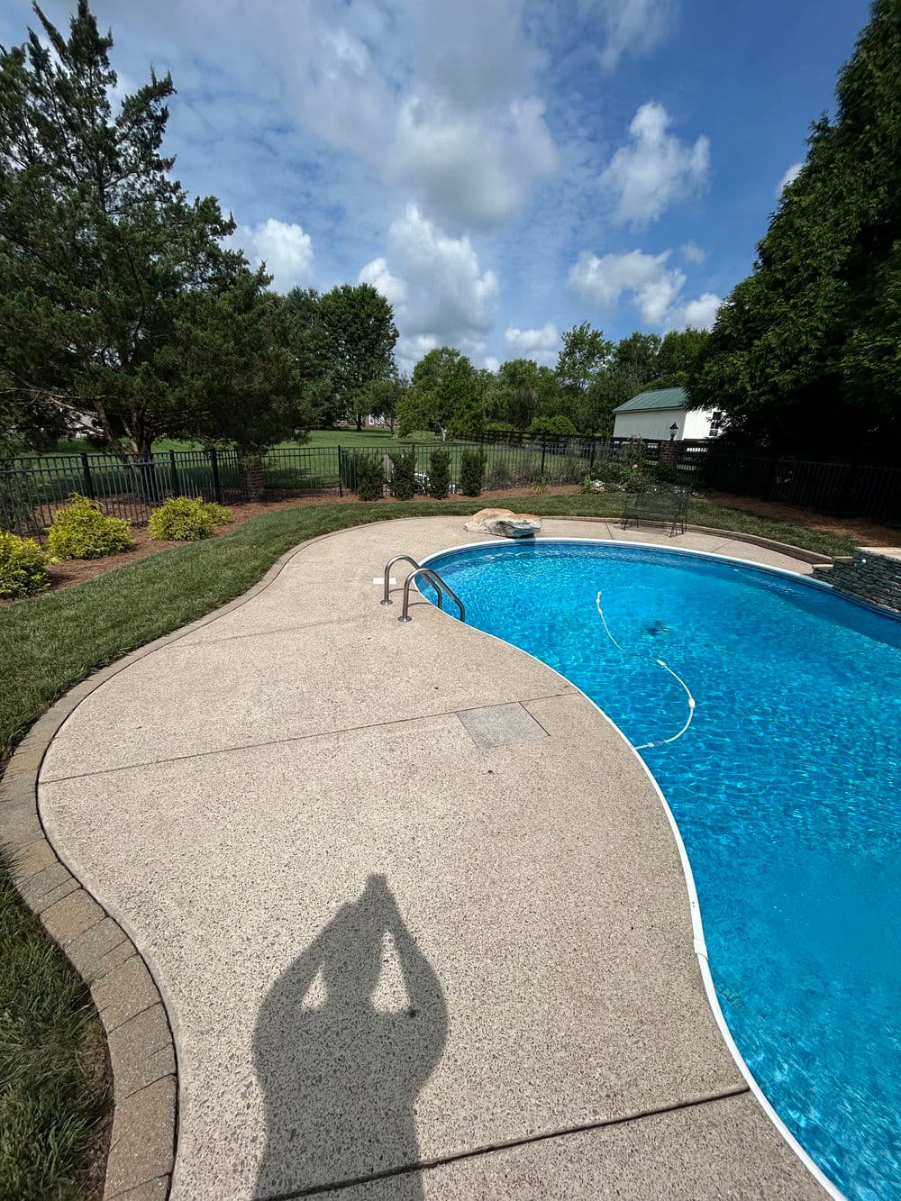 Sunny backyard pool with clear blue water and landscaped surroundings. Ideal for relaxation.